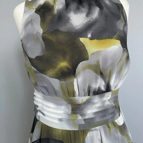 Ann Taylor chiffon dress - Picture 4 of 5